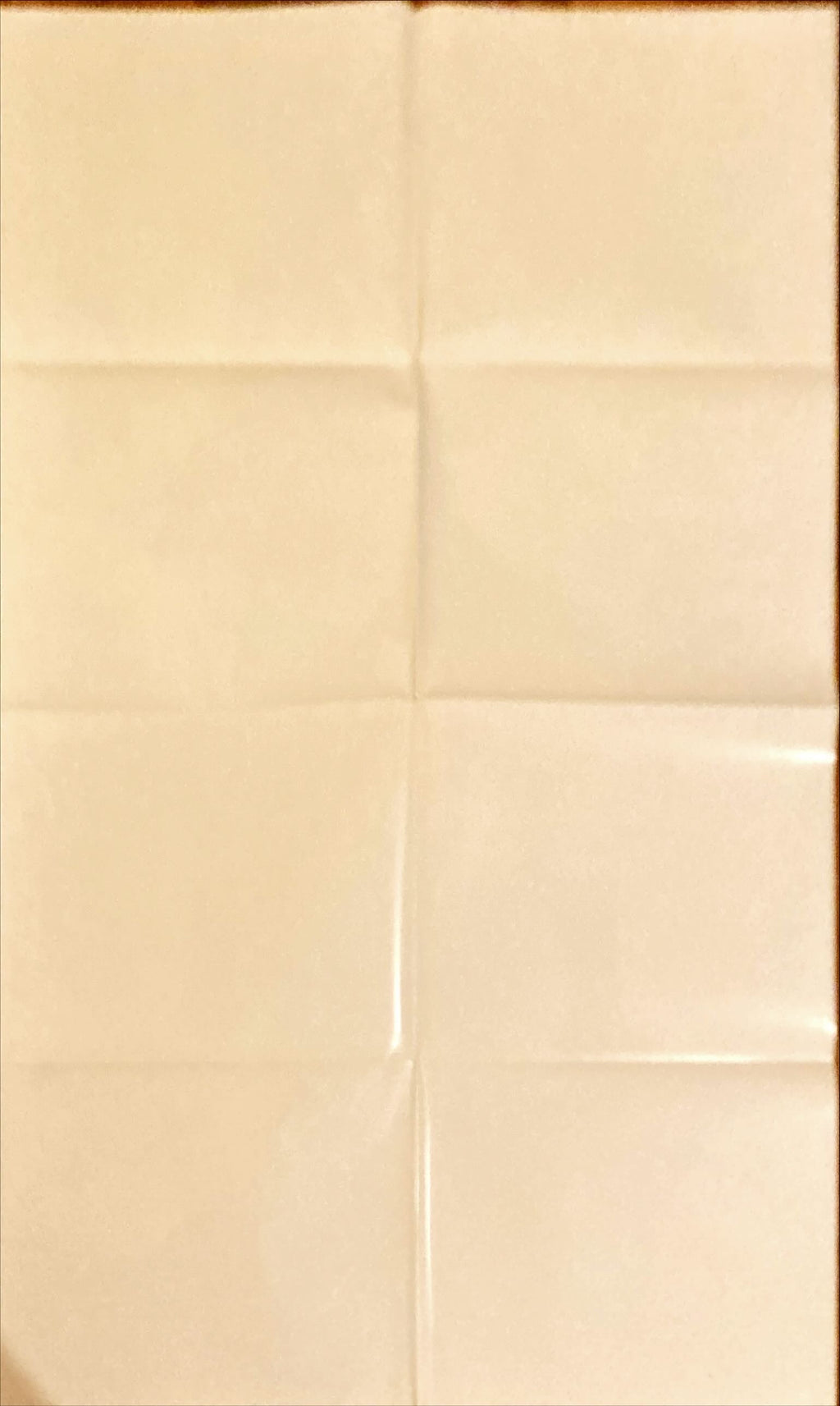 Ace Ventura: Pet Detective,  1sh 1994 Jim Carrey