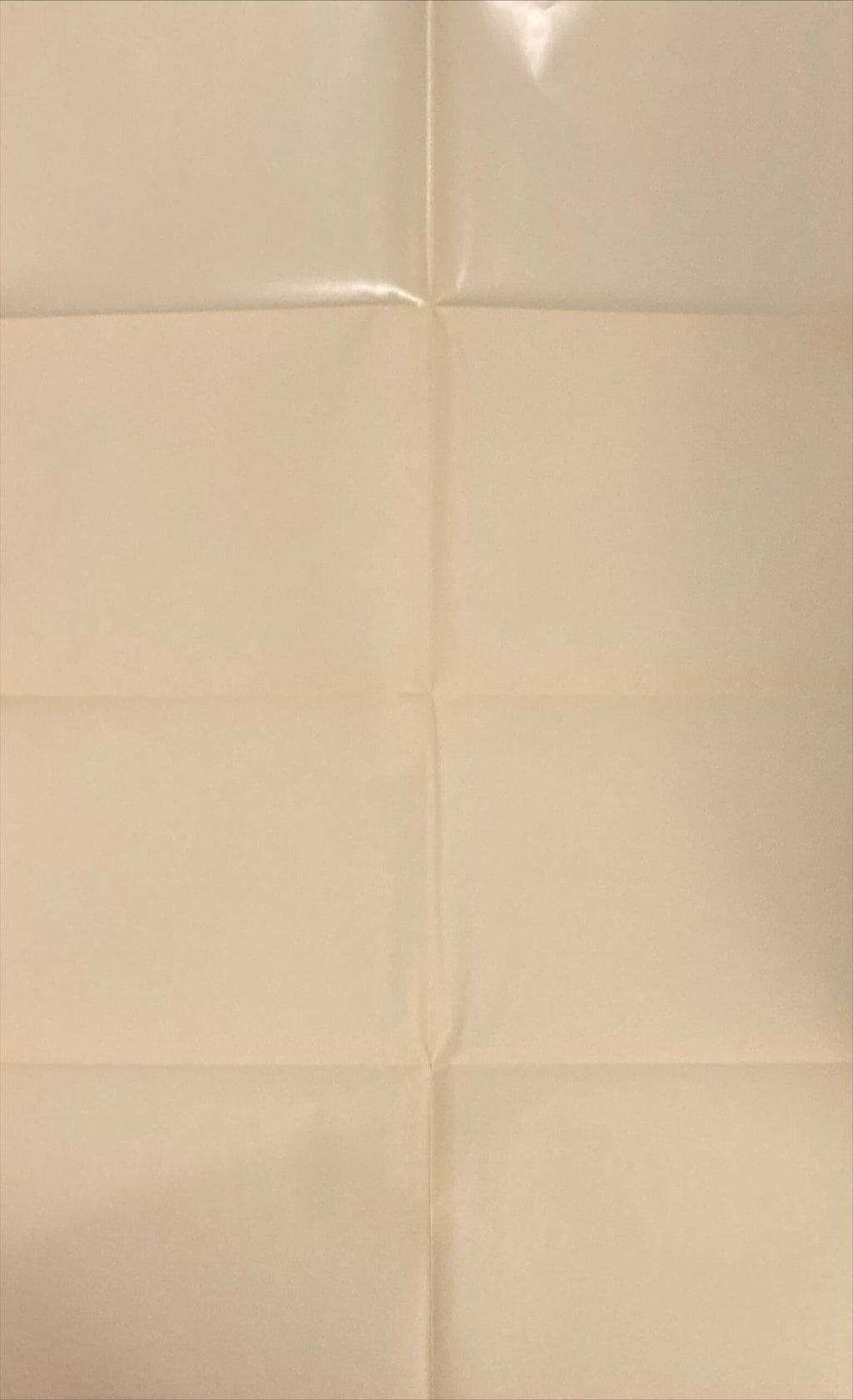 Don't tell Mom the Babysitter is Dead (1991) One Sheet Movie Poster - Christina Applegate