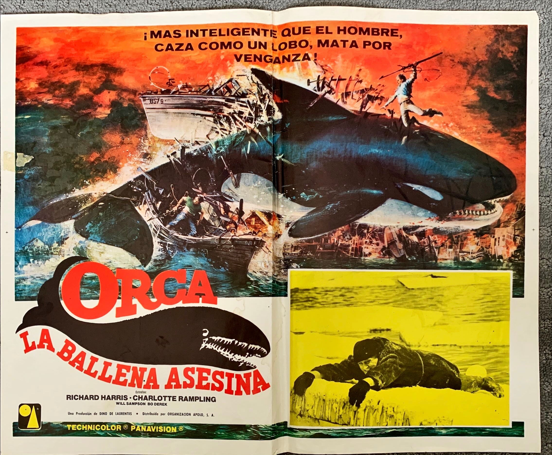 Orca the killer whale Mexican lobby card