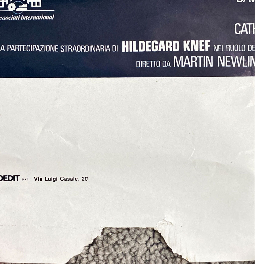 Witchery (1988) Original Locandina Movie Poster - ITA