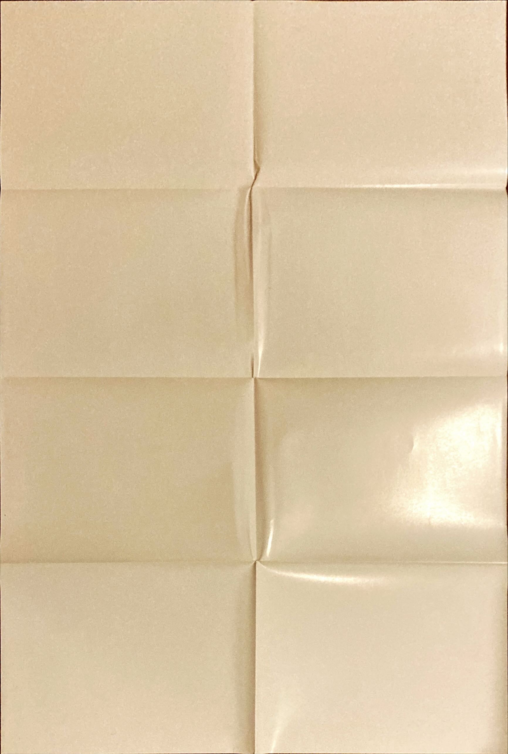 Empire Records (1995) One Sheet Movie Poster - Style A, Renee Zellweger