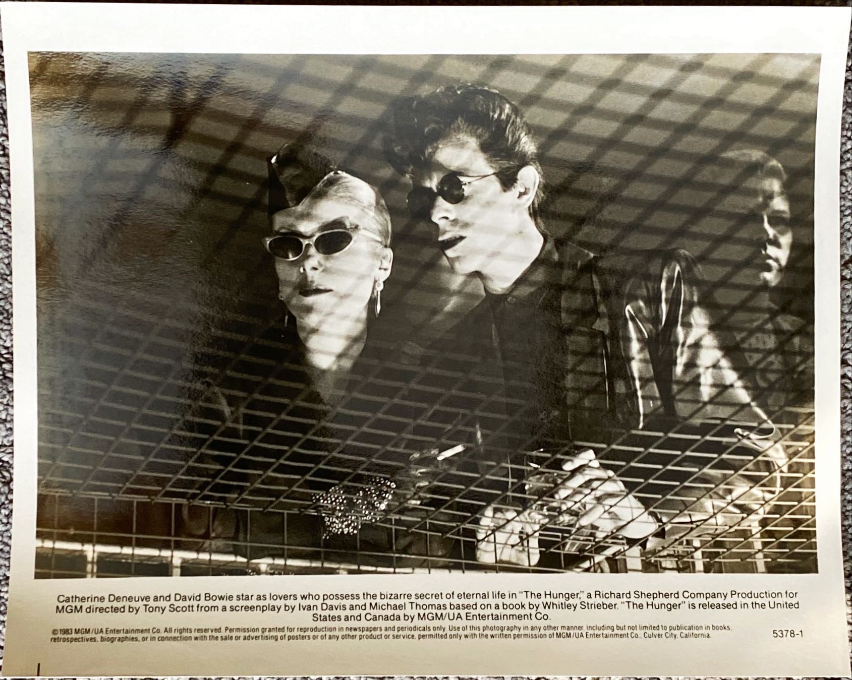 The Hunger (1983)  - Press Kit, 6 Stills