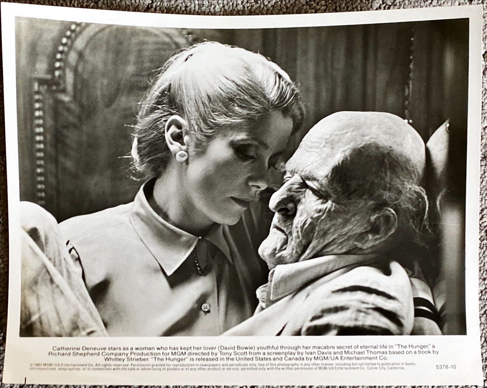 The Hunger (1983)  - Press Kit, 6 Stills