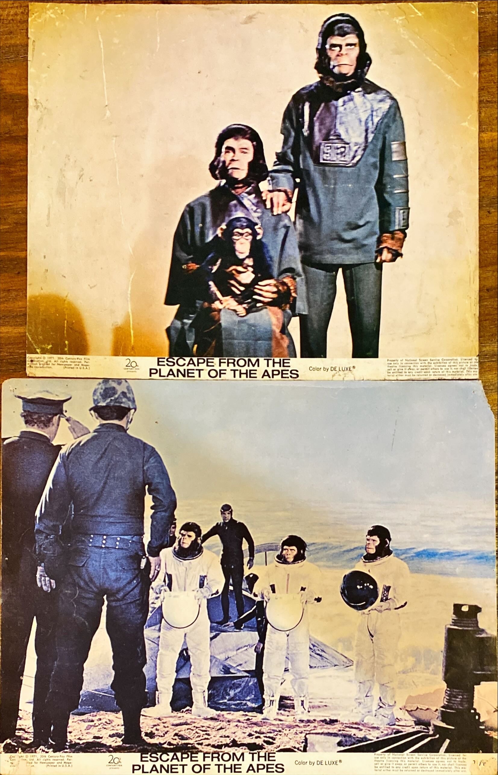 #990 3 Stills - ESCAPE FROM THE PLANET OF THE APES  11x14 - 1971 - PosterCollectors.xyz
