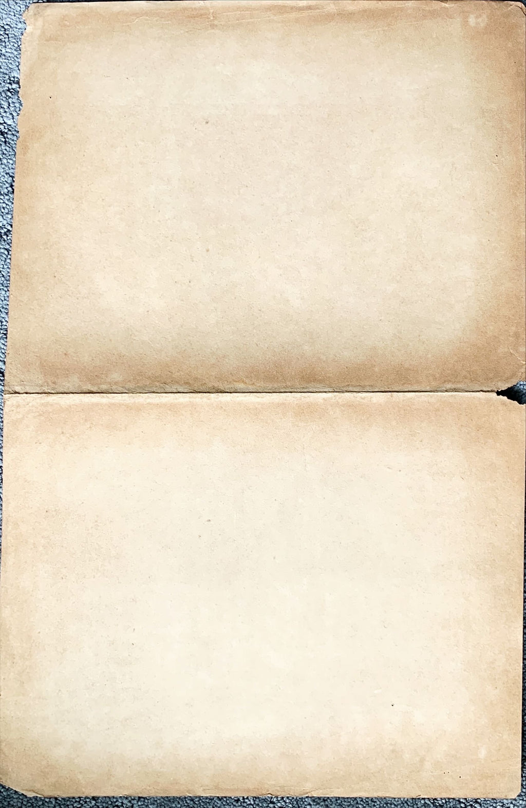 Las lobas del Ring,Mexican window card