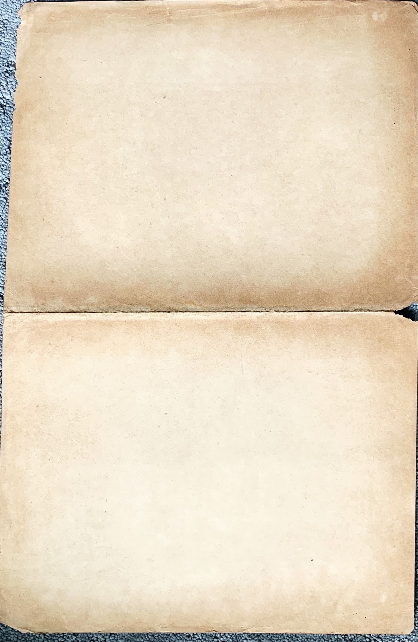 Las lobas del Ring,Mexican window card