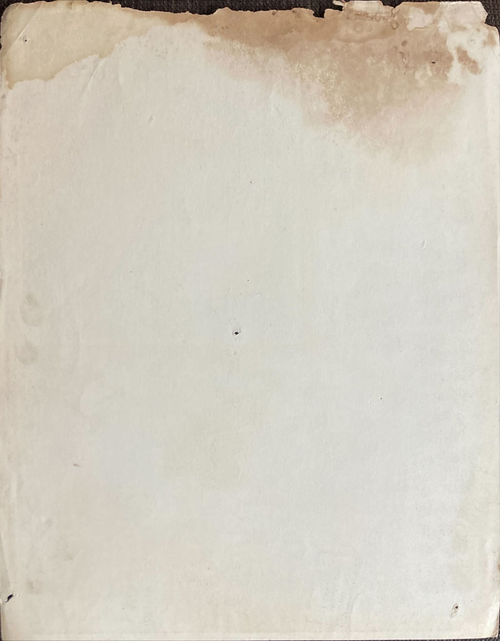 Running Wild (1955) Vintage Mexican Lobby Card, Mamie Van Doren