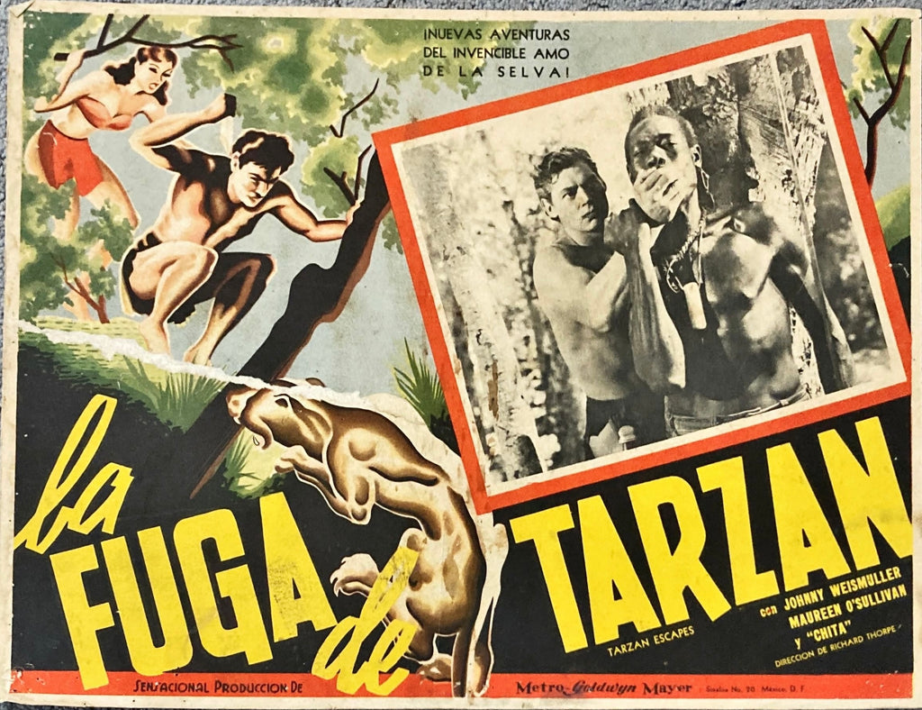 Tarzan (Johnny Weissmuller) Vintage Mexican Lobby Cards bundle