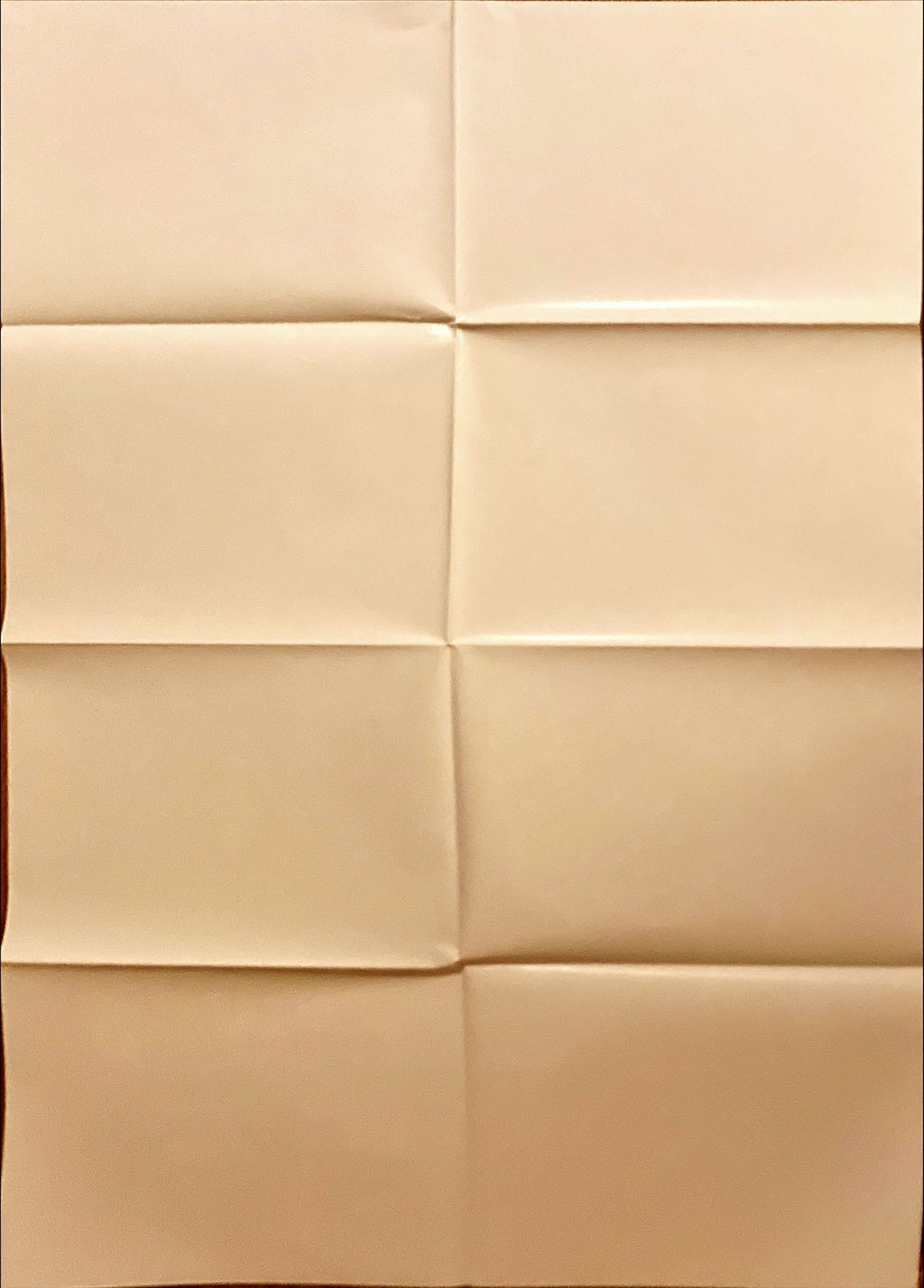 #2147 BIRDCAGE 1sh 1996 Robin Williams & Nathan Lane