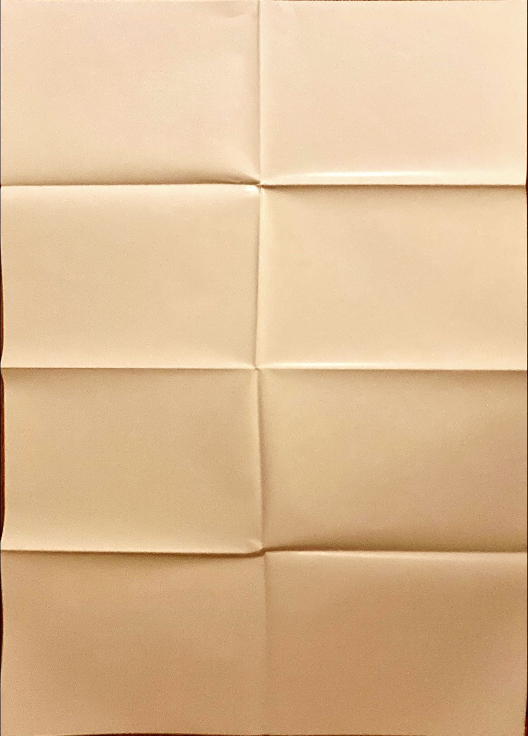 #2147 BIRDCAGE 1sh 1996 Robin Williams & Nathan Lane