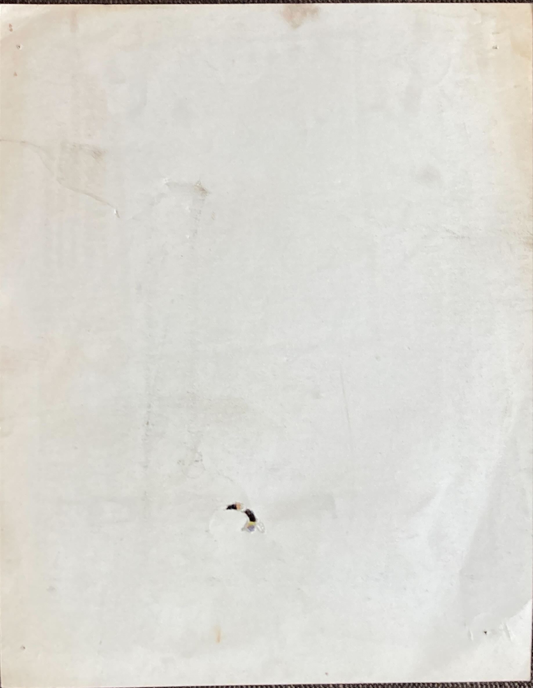 Mystery of Thug Island (1965) Vintage Mexican Lobby Card, Guy Madison