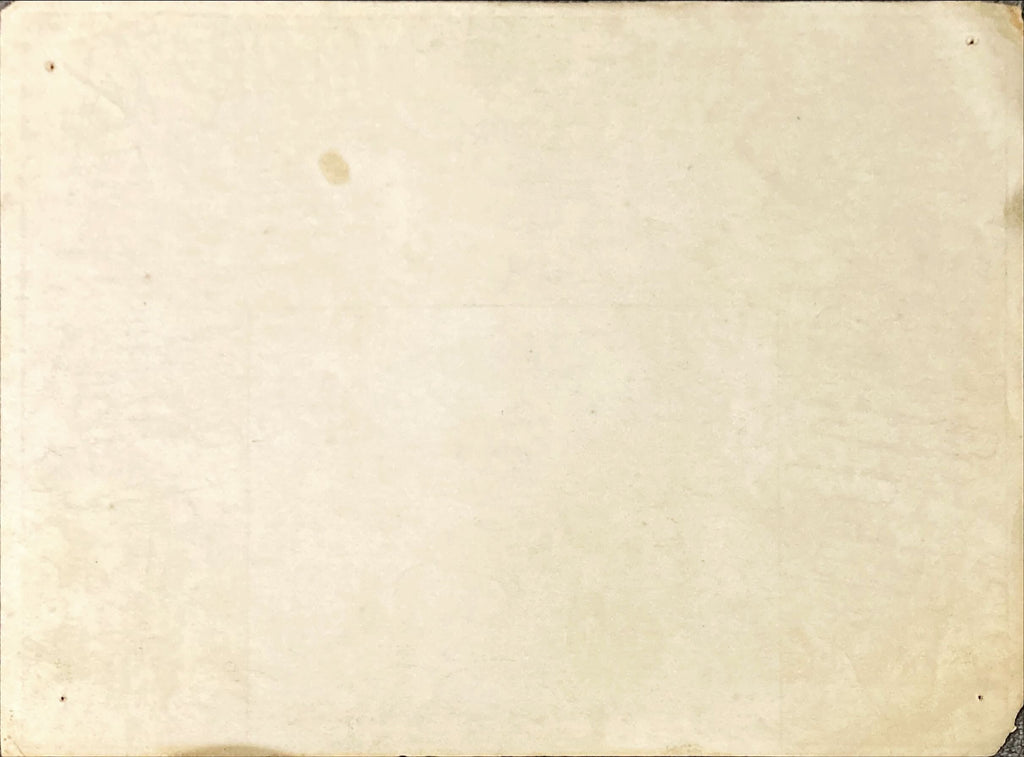 #2091 TARANTULA Mexican LC R60s