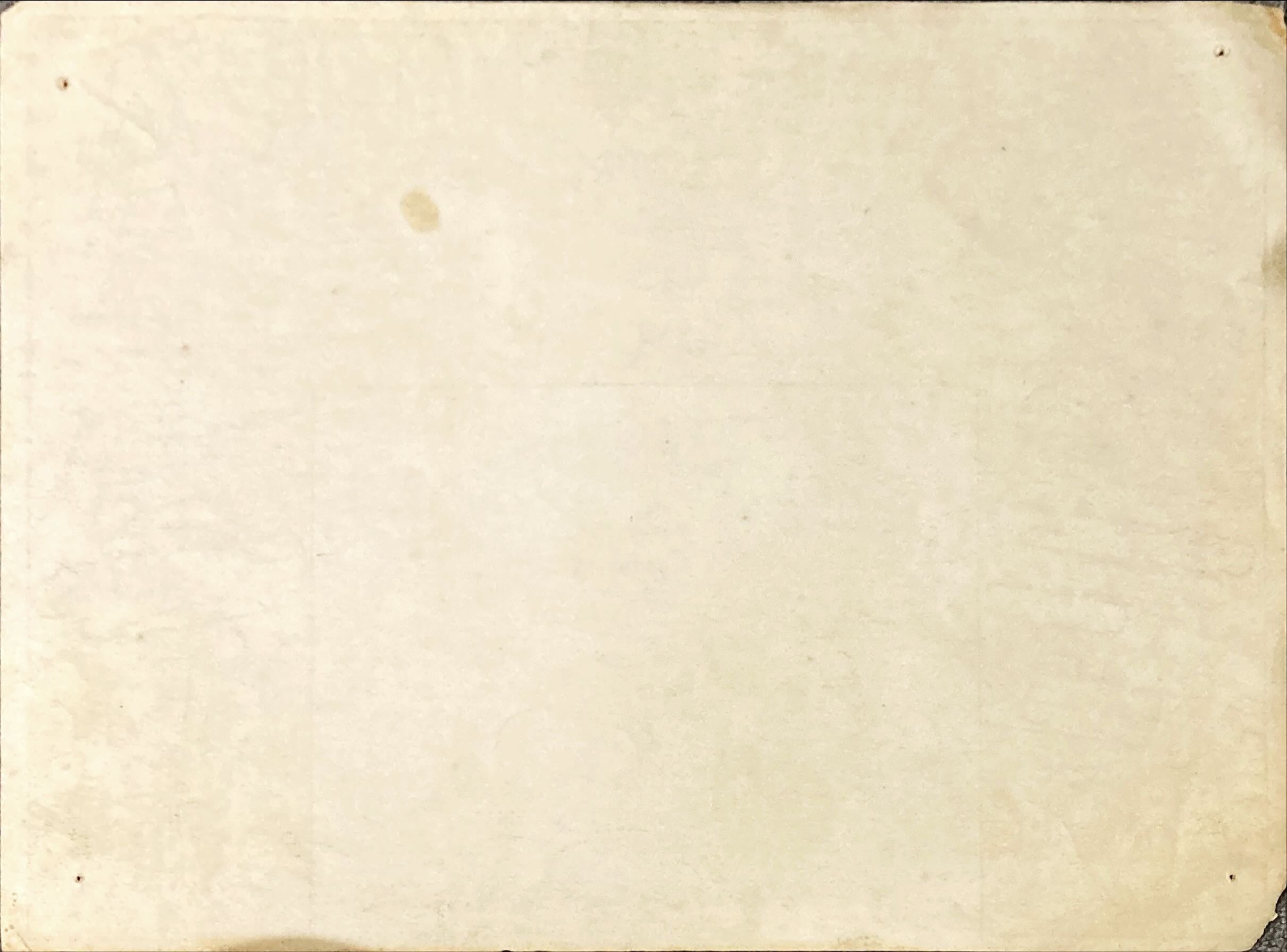 #2091 TARANTULA Mexican LC R60s