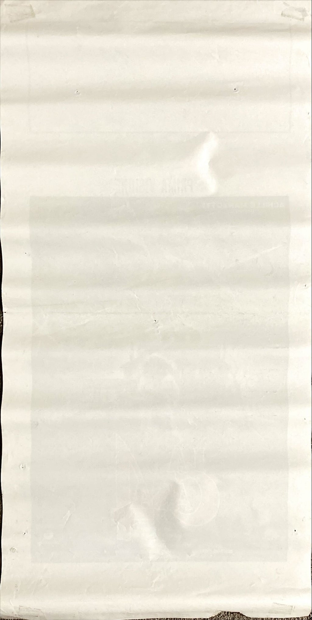 Witchery (1988) Original Locandina Movie Poster - ITA