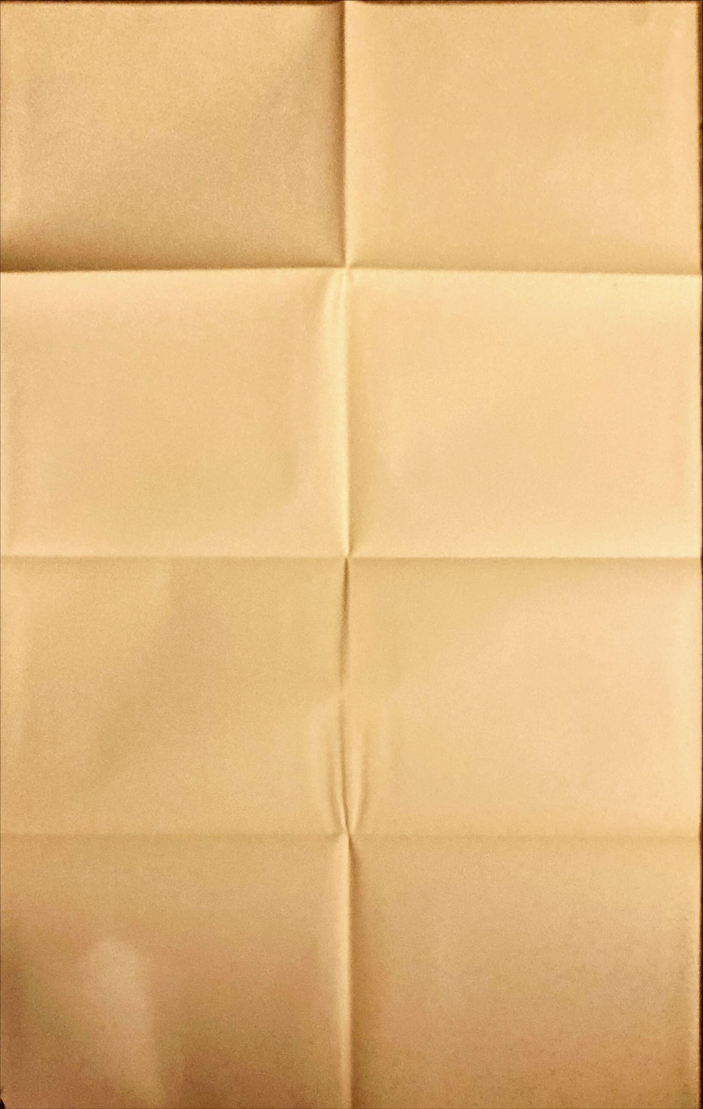 Memoirs of an Invisible Man (1992) One Sheet Movie Poster - DS