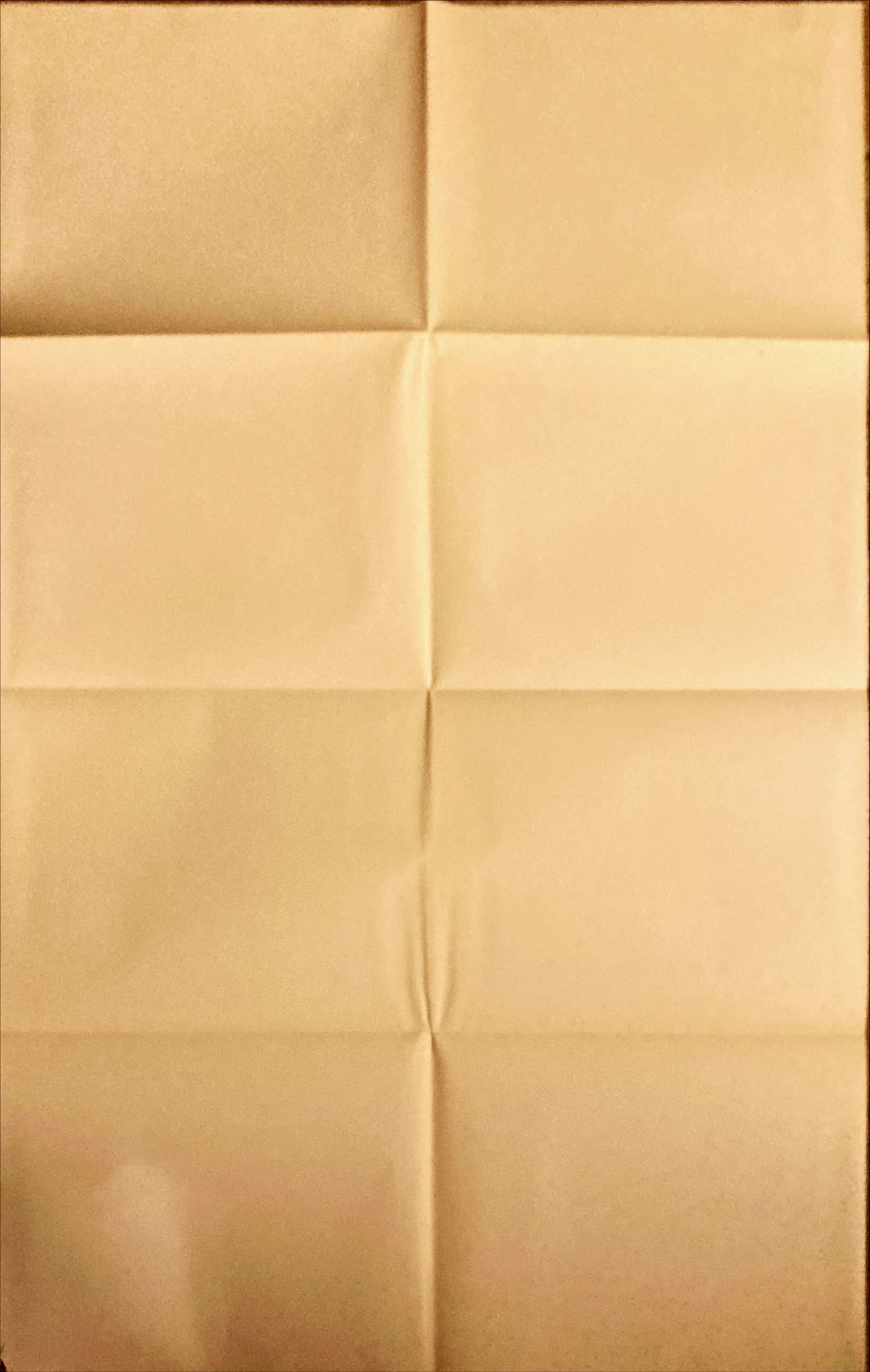 Memoirs of an Invisible Man (1992) One Sheet Movie Poster - DS