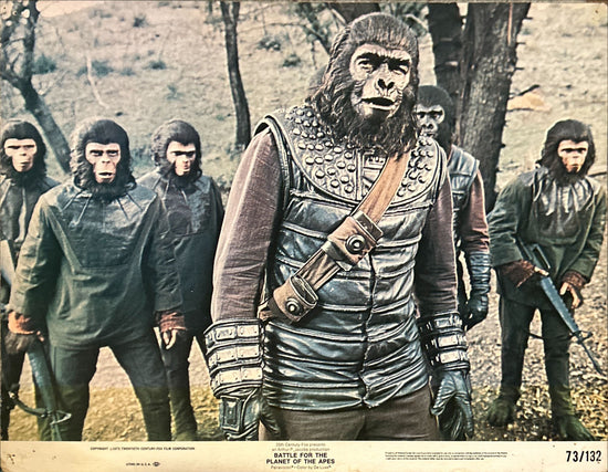 Battle for the Planet of the Apes (1973) 6x Lobby Cards - 11x14 stills