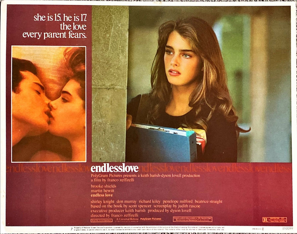 #1138 ENDLESS LOVE 7 movie lobby cards '81 - PosterCollectors.xyz
