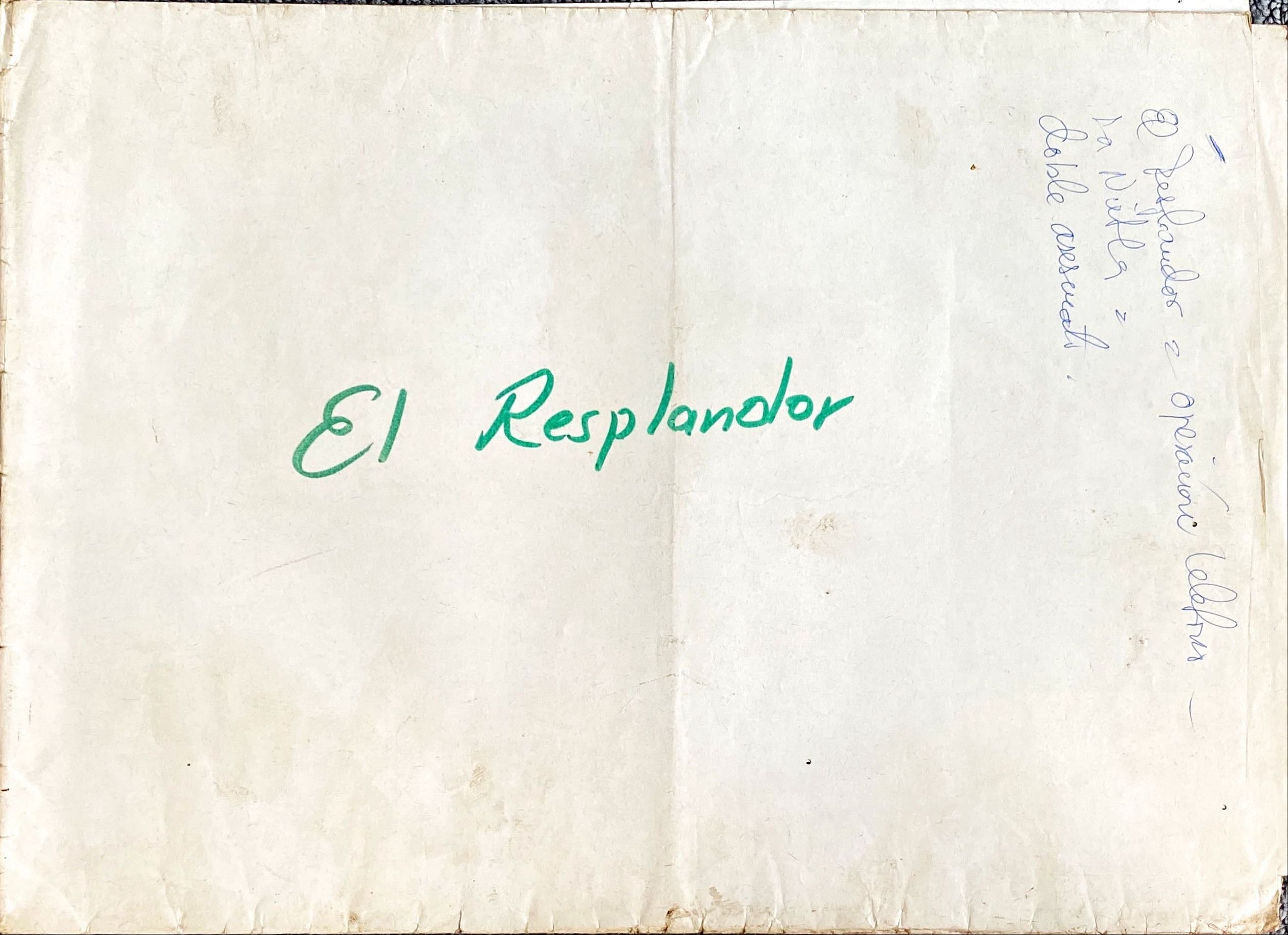 #935 SHINING Argentinean movie poster '80 Stephen King & Stanley Kubrick horror masterpiece!