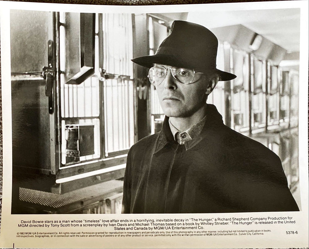 The Hunger (1983)  - Press Kit, 6 Stills