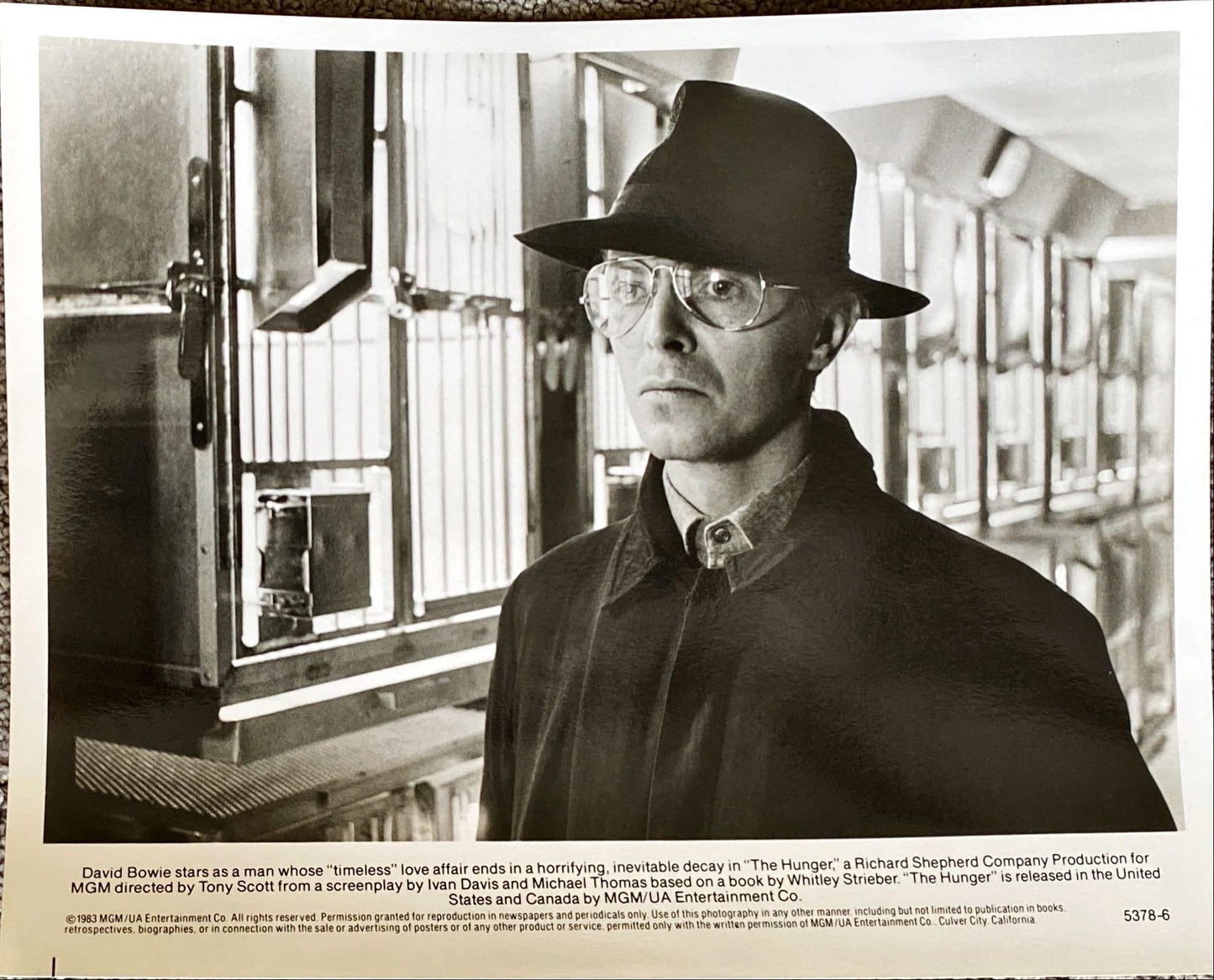 The Hunger (1983)  - Press Kit, 6 Stills