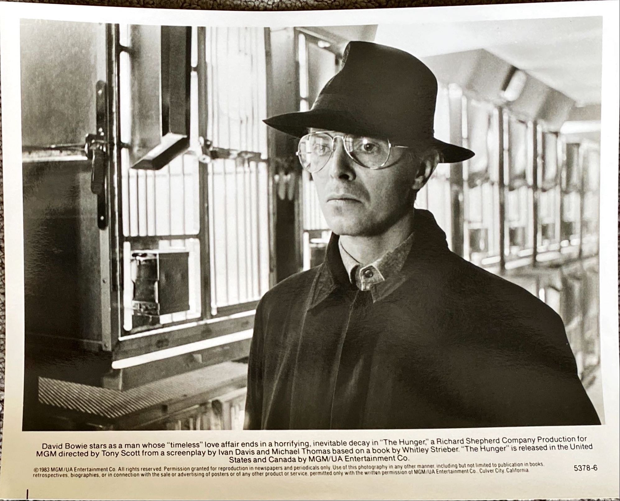 The Hunger (1983)  - Press Kit, 6 Stills