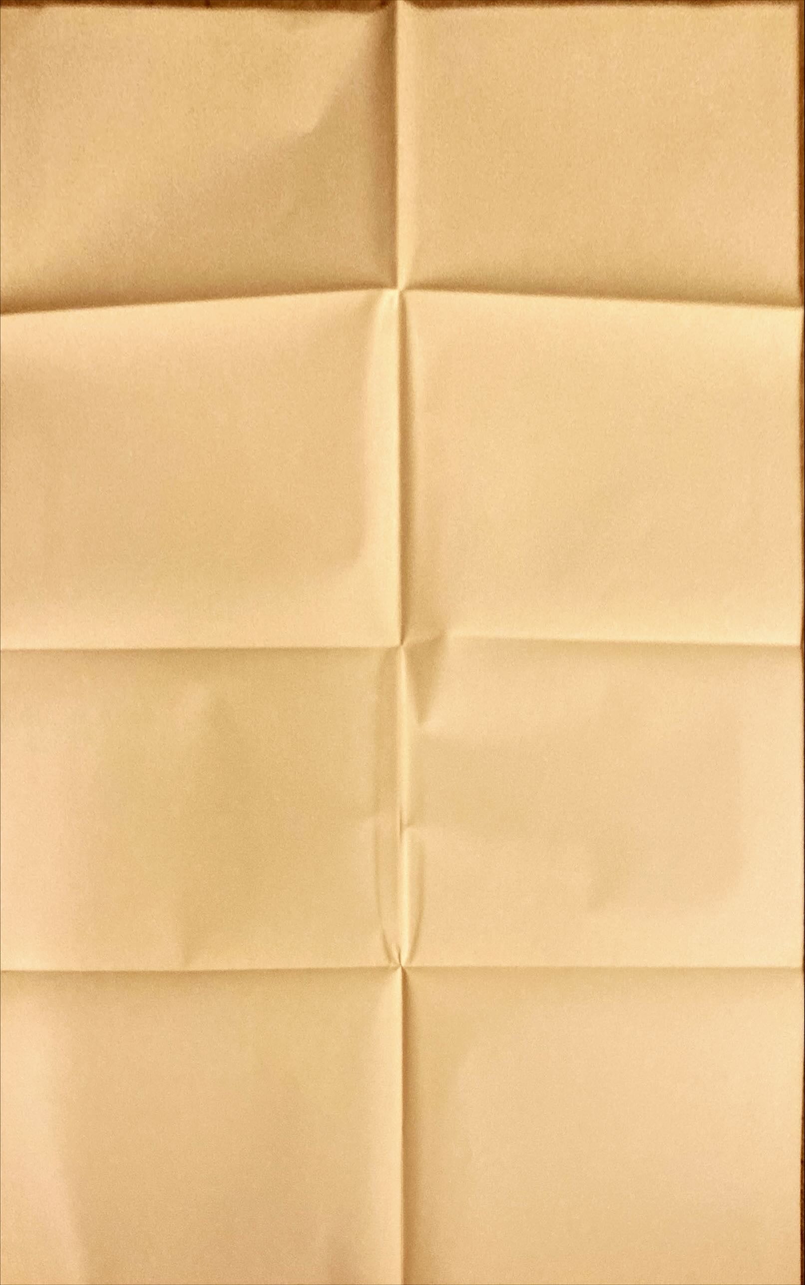 Memoirs of an Invisible Man (1992) One Sheet Movie Poster - DS, Casaro Art