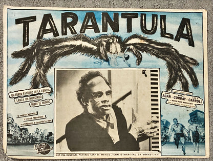 #2091 TARANTULA Mexican LC R60s