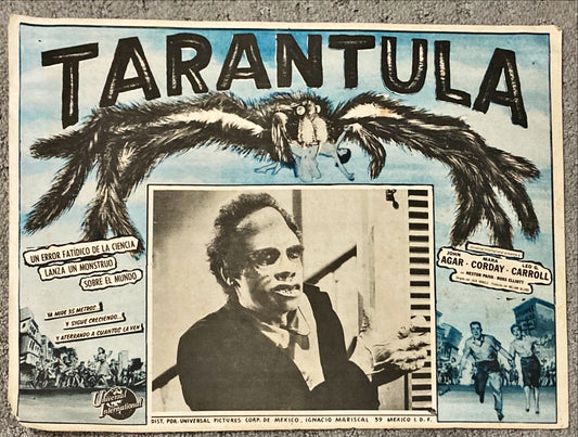 #2091 TARANTULA Mexican LC R60s