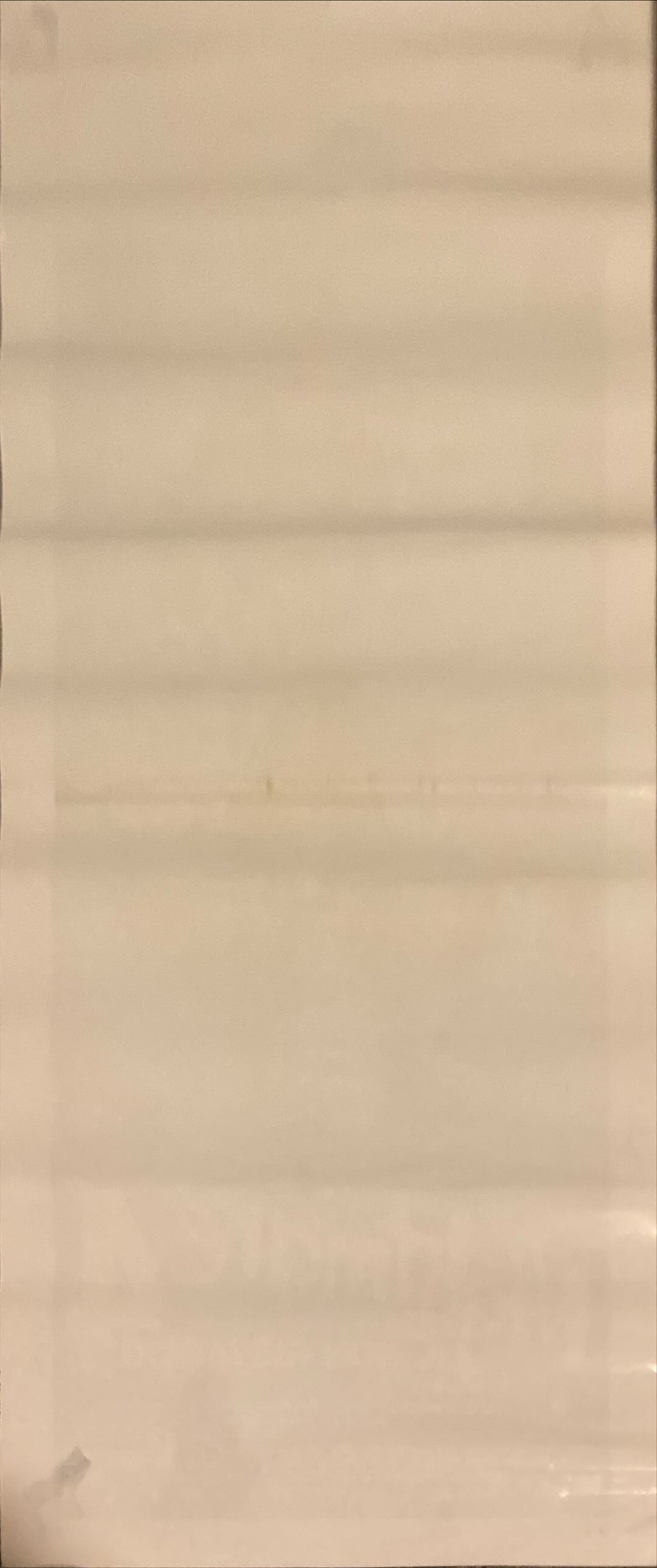 Nightmare on Elm Street IV (1989) Original Locandina Movie Poster - ITA