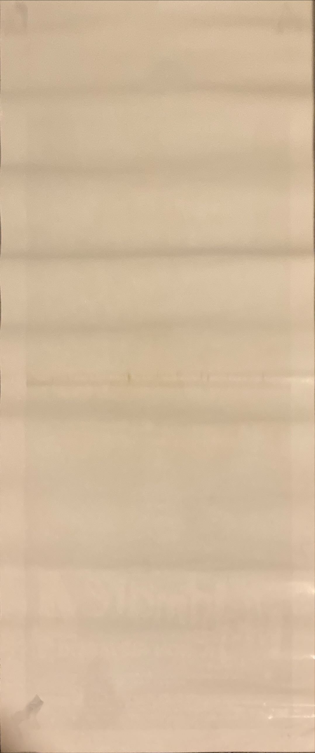 Nightmare on Elm Street IV (1989) Original Locandina Movie Poster - ITA