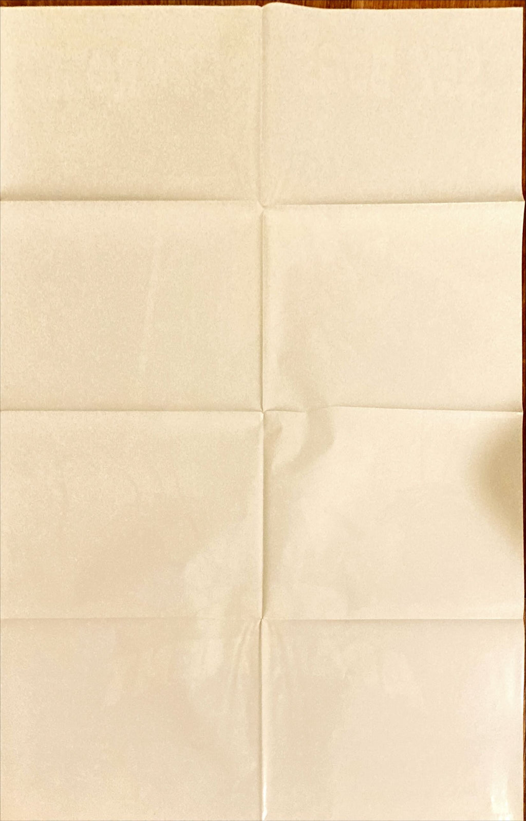 Joe's Apartment,  1sh '96