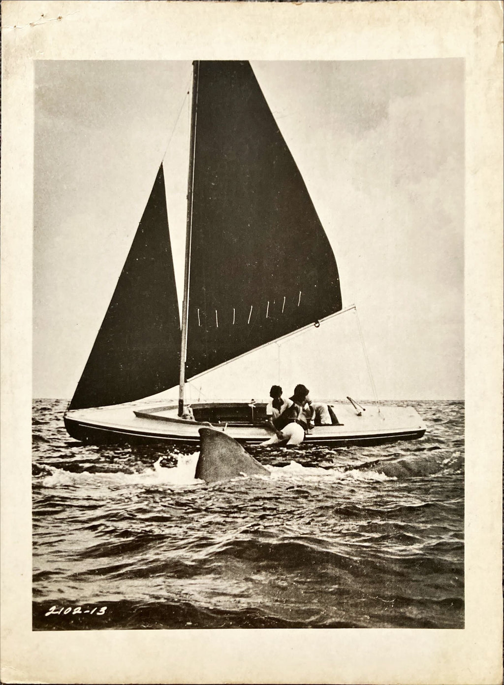 Jaws 2x Original 8x10 Movie Stills - B&W