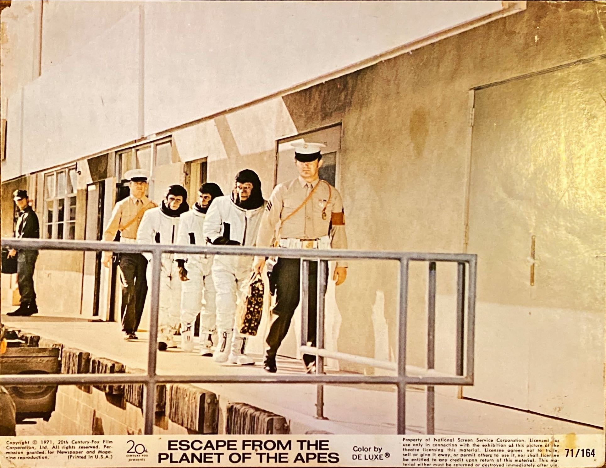 #990 3 Stills - ESCAPE FROM THE PLANET OF THE APES  11x14 - 1971 - PosterCollectors.xyz